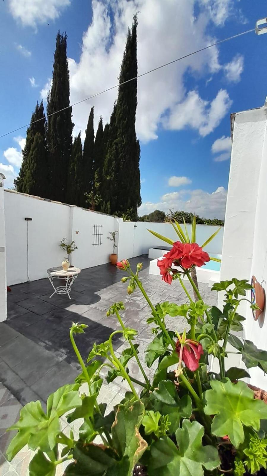 Villa La Casilla Montilla Exterior foto